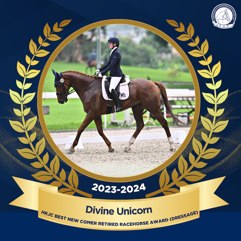 HKJC Best New Comer Retired Racehorse Award Dressage